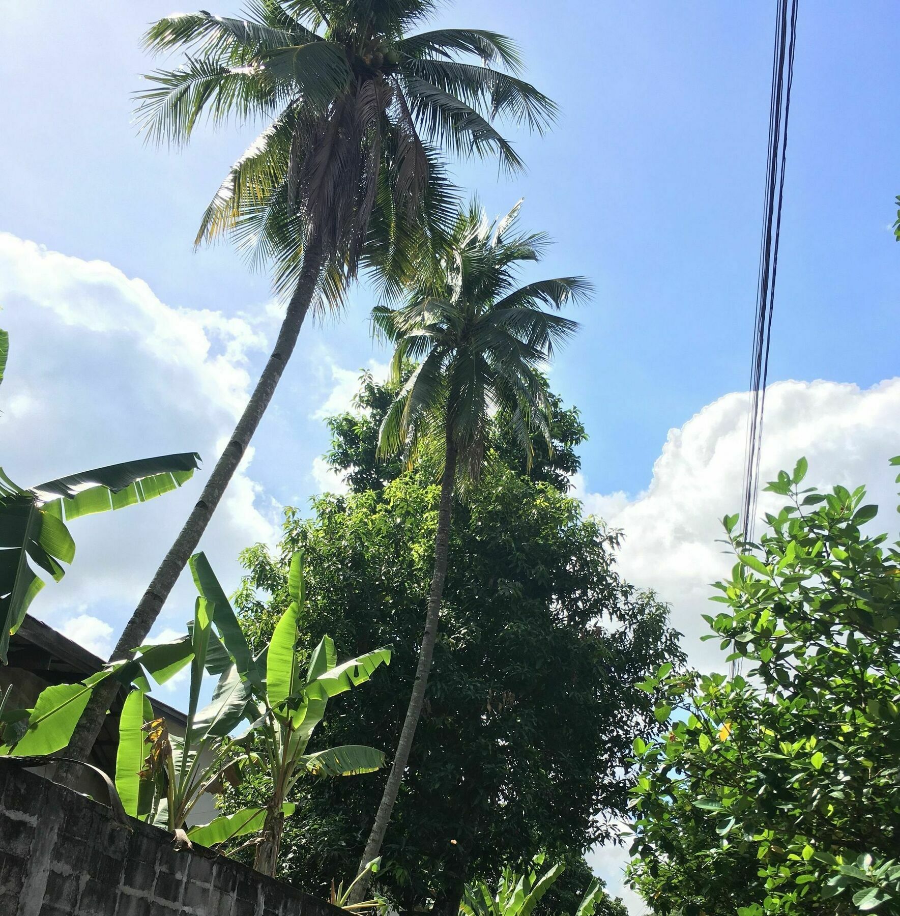 Him Dara Homestay Chiang Mai Exterior photo